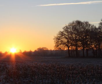 Sunrise